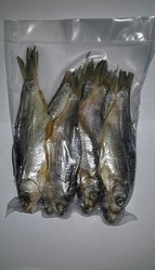 Вяленая  вобла из Астрахани 