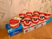 Фантомные модели стоматологических челюстей