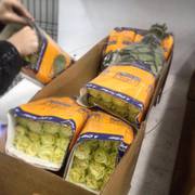 Свежие цветы с плантаций,  с доставкой