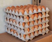 Куриное яйцо оптом. С1,  С2,  С0