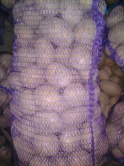 Картофель оптом от 20 тонн