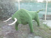 ТОПИАРИЙ ПРОЕКТ