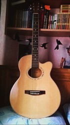 Акустическая гитара+чехол