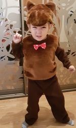 Новогодний костюм СобакиМедведя