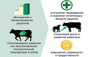 Продается С.У.П–углеводный пребиотический корм(повешение продуктивност