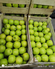 Яблоки Голден Делишес,  Гренни Смит,  Айдаред,  Ред Чив оптом.