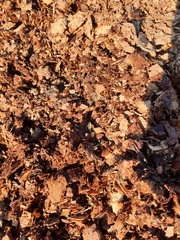 Продам кедровую кору,  дробленая фракция 5-20 мм.