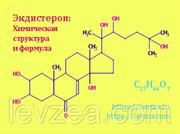 Серпуха-порошок 20 гр содержит 946 мг экдистерона